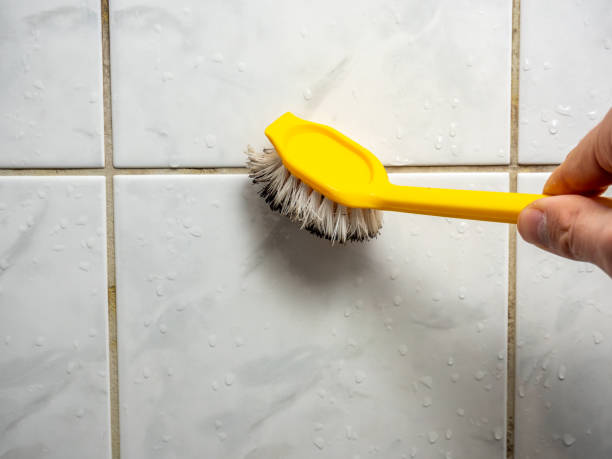Best Home Mold Removal  in Hartford City, IN
