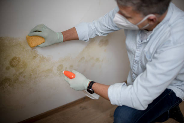 Crawl Space Mold Removal in Hartford City, IN